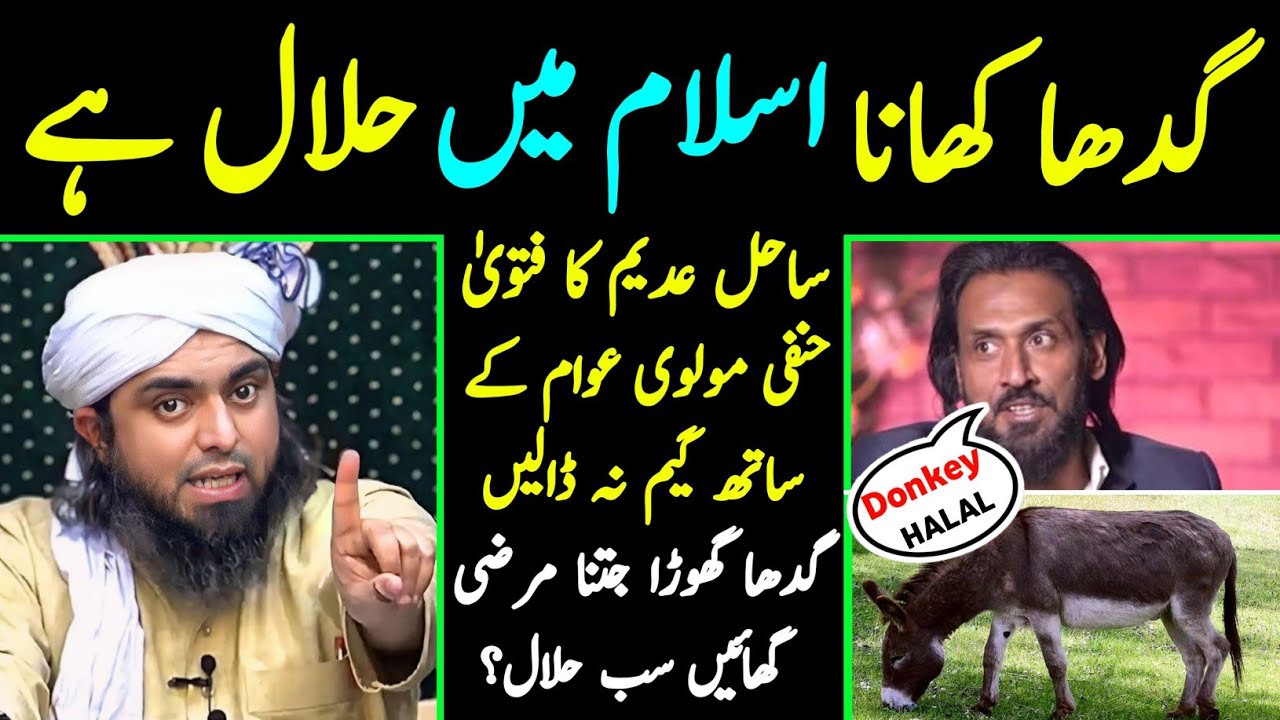 🔥 Reply To Sahil Adeem حفظہ اللہ on Donkey ISLAM Mein HALAL [Engineer Muhammad Ali Mirza]