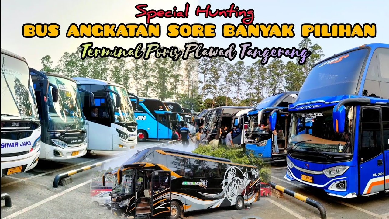 Terminal Surganya Para Mania❗Angkatan Sore Rame Bis Premium🔥Semua Jurusan Ada Disini.
