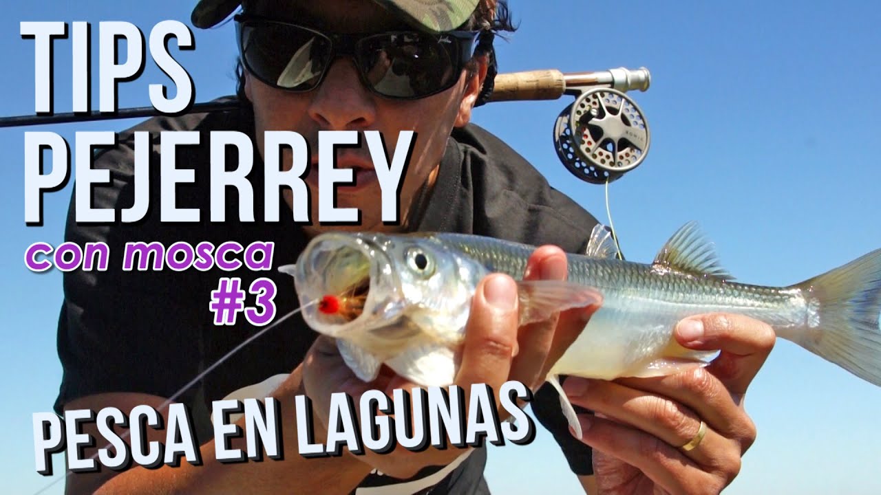 LO QUE NECESITAS SABER para pesca PEJERREY CON MOSCA en lagunas -CURSOS DE FLY FISHING - LANZAMIENTO