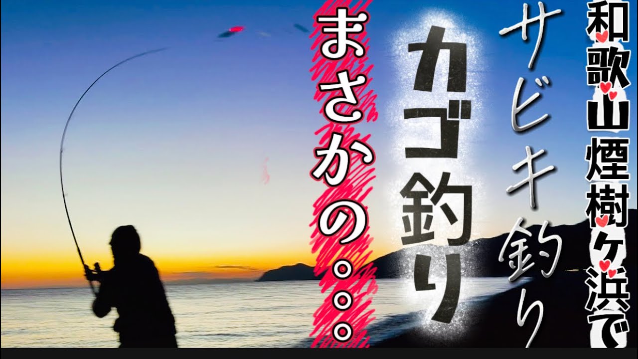 【煙樹ヶ浜】まさかのまさか🙈投げてすぐウキが沈む入れ食い✨カゴ釣りサビキ釣り