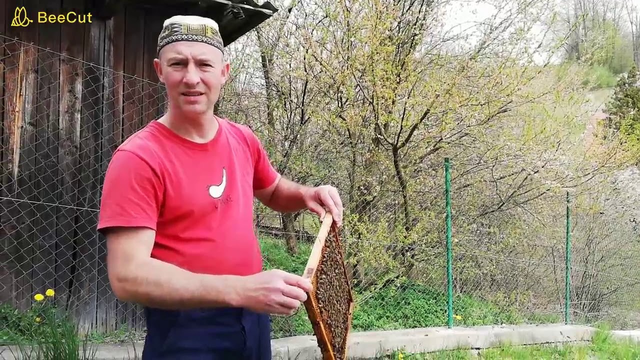 Přeložení včelstva jiné rámkové míry do ležanu