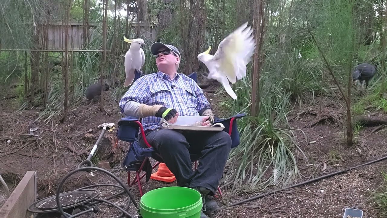 Birbs of a feather, feasting together