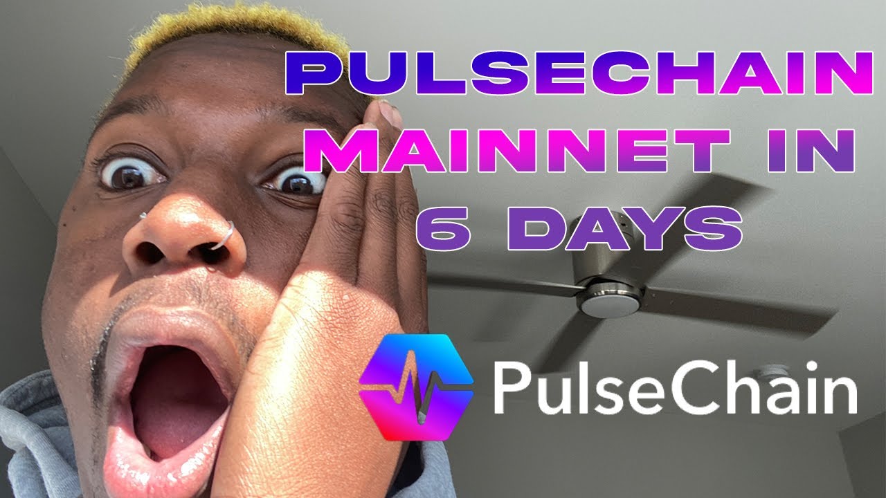 🌀Are You a Pulsechain Millionaire?! | PULSECHAIN Mainnet in 6 Days?! 🌀 #NFA #DailyDapper