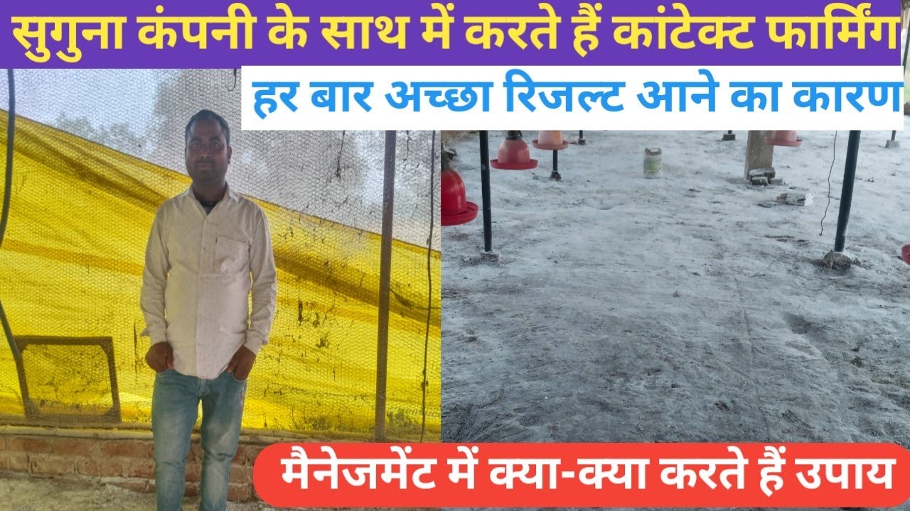  गर्मी के लिए क्या-क्या मैनेजमेंट जरूरी है मुर्गी में#सुगुना कंपनी के साथ कांटेक्ट फार्मिंग कैसे करे