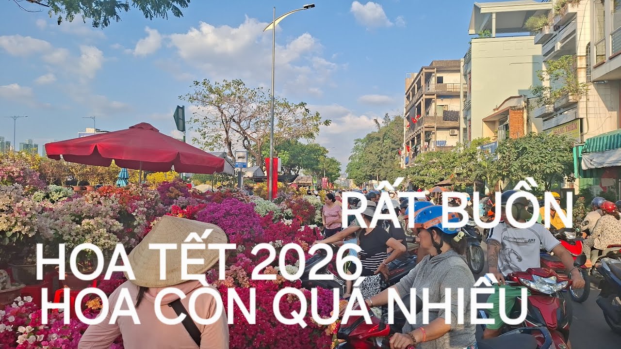 HOA TẾT CÒN QUÁ NHIỀU MUA GIÚP BÀ CON HOA TẾT 2026