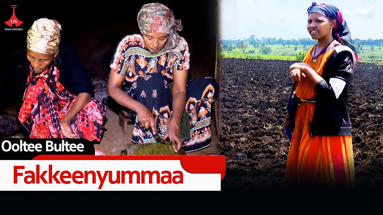 Ooltee Bultee -  Fakkeenyummaa  etv |Ebc  |Etv Afaan Oromoo| oduu Etv Afaan Oromoo |Ethiopia