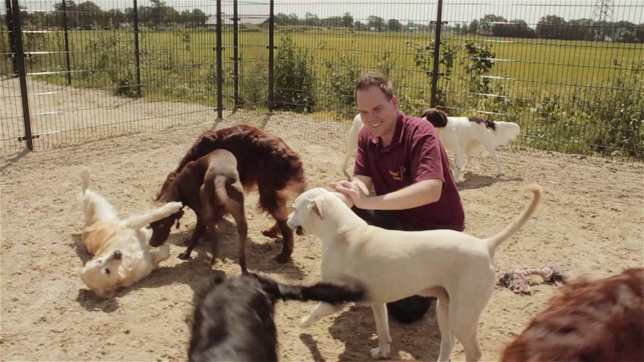 Bedrijfsvideo Dierenpension Happy Care