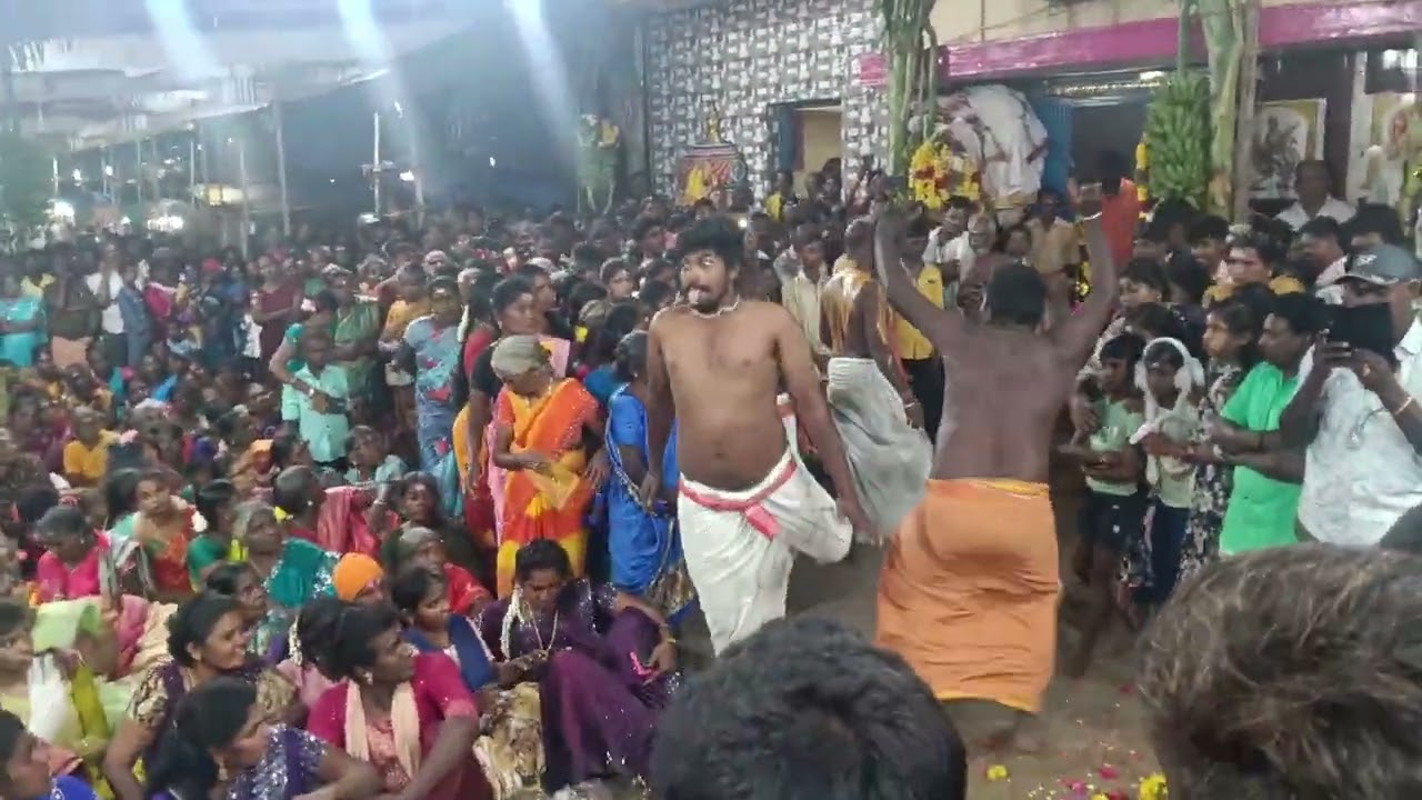 🙏 மஹா சிவராத்திரி திருவிழா 🙏 ஸ்ரீ பட்டமுடையார் சாஸ்தா திருக்கோவில் ✨#பட்டமுடையார்