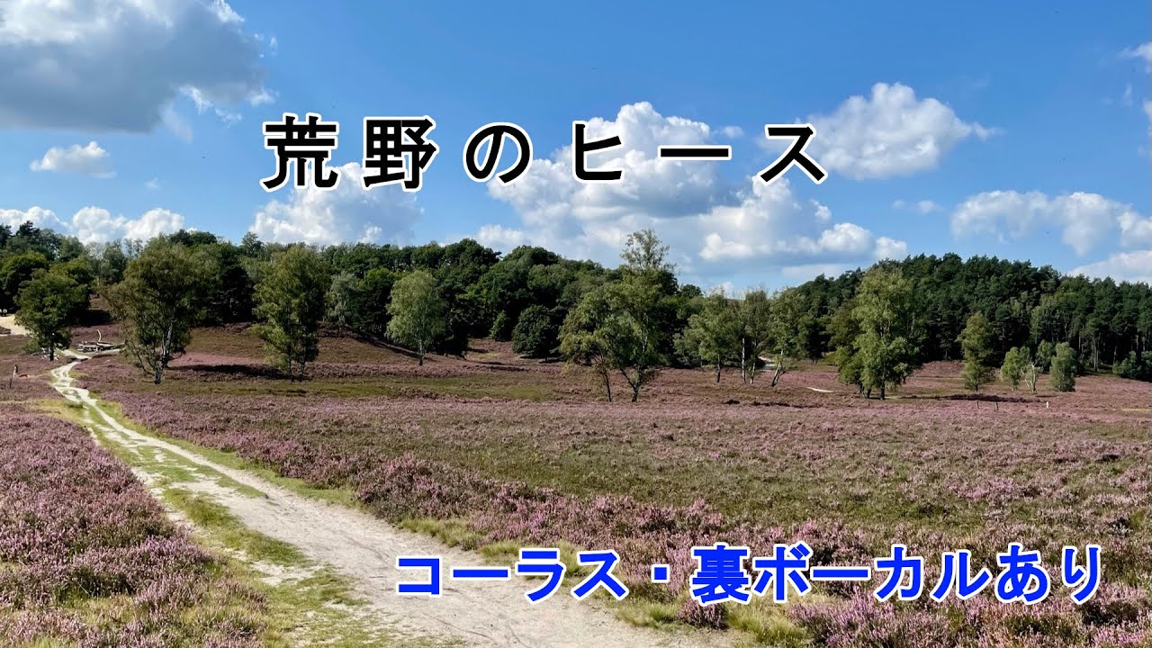 【カラオケ用音源】荒野のヒース／AKINO（創聖のアクエリオンED）※コーラスあり