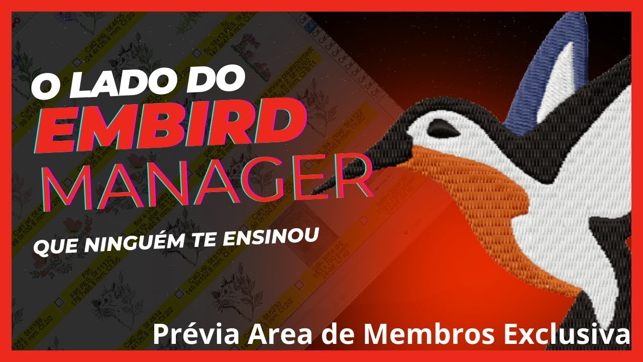Como Utilizar Embird Manager - prévia