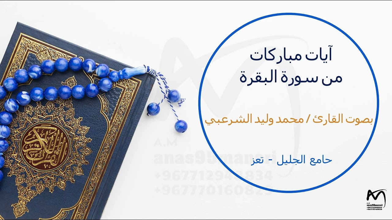 آيات من سورة البقرة المباركة | القارئ محمد وليد الشرعبي_2025 م
