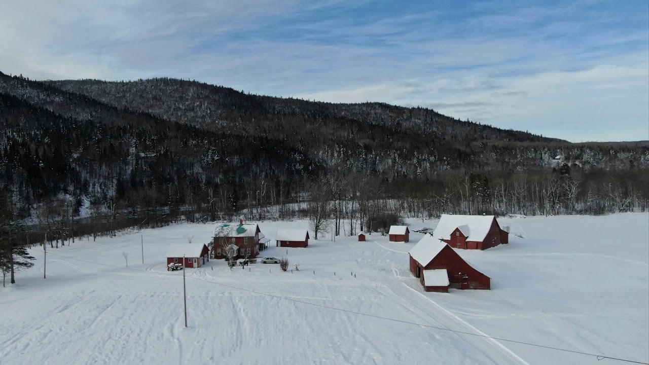 It,s A Beautiful Picture--Isle Aux Morte Boys