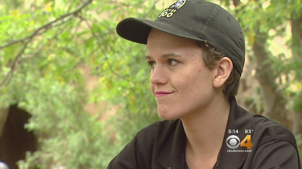 Goodwill Program Helps Woman With Disabilities Land A Dream Job