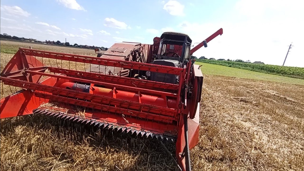 ŻNIWA 2024//BIZON Z020 w akcji