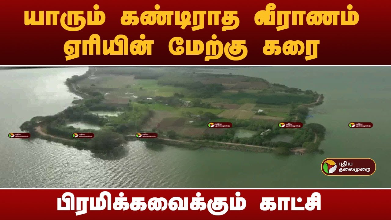 யாரும் கண்டிராத வீராணம் ஏரியின் மேற்கு கரை- பிரமிக்கவைக்கும் காட்சி! | Veeranam Lake