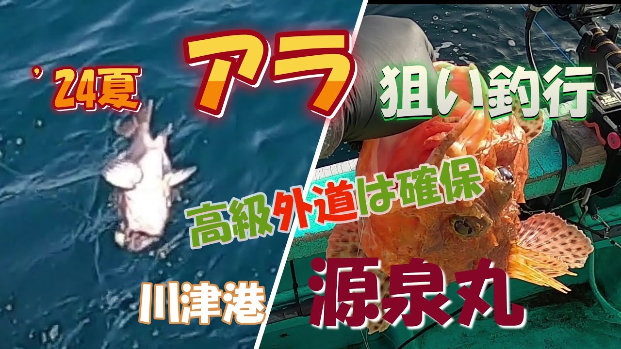 24夏　アラ狙い釣行　源泉丸