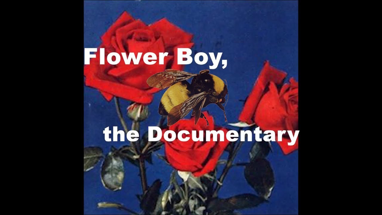 Tyler, the Creator's Flower Boy, the 