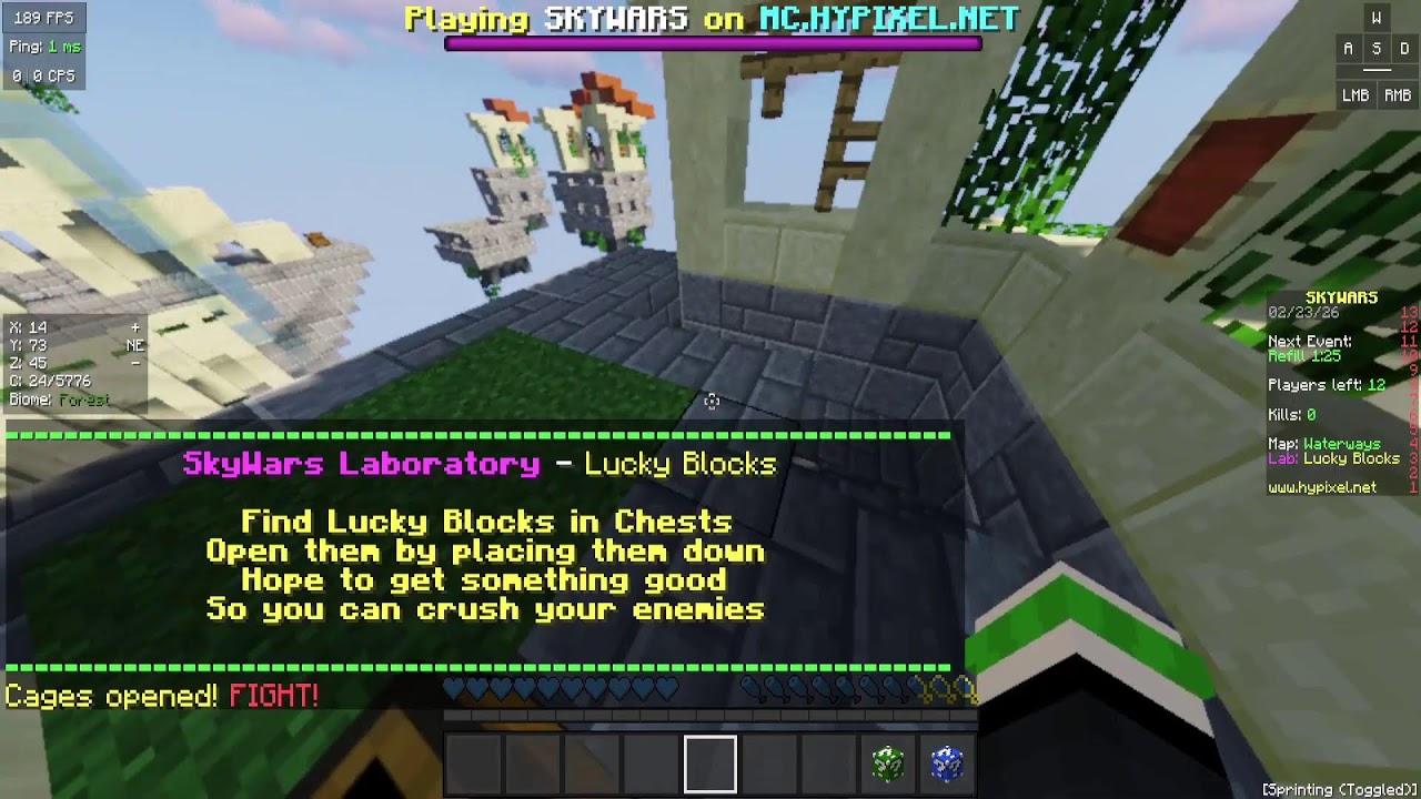 Hypixel Stream