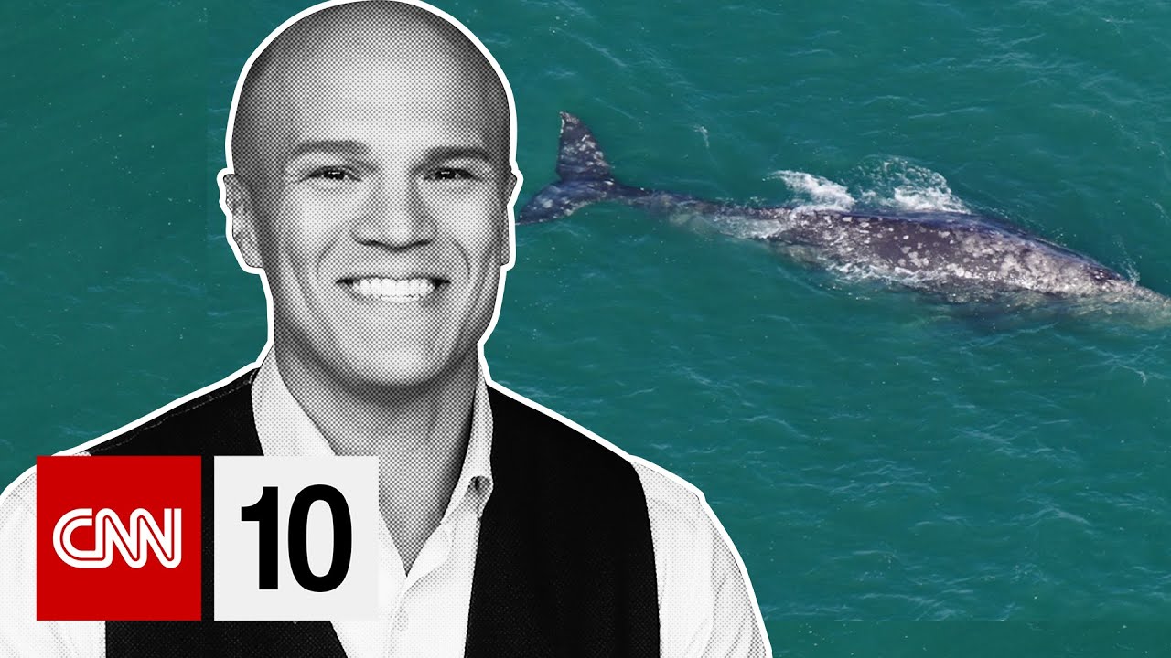 This species spotted in the Atlantic again after 200 years | March 11, 2024