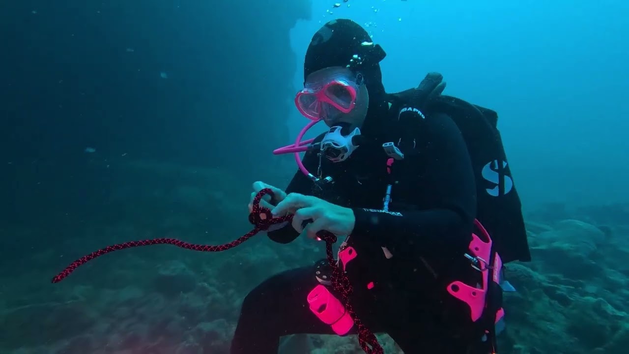 Top z Egypta podzim 2025 divecrew.cz