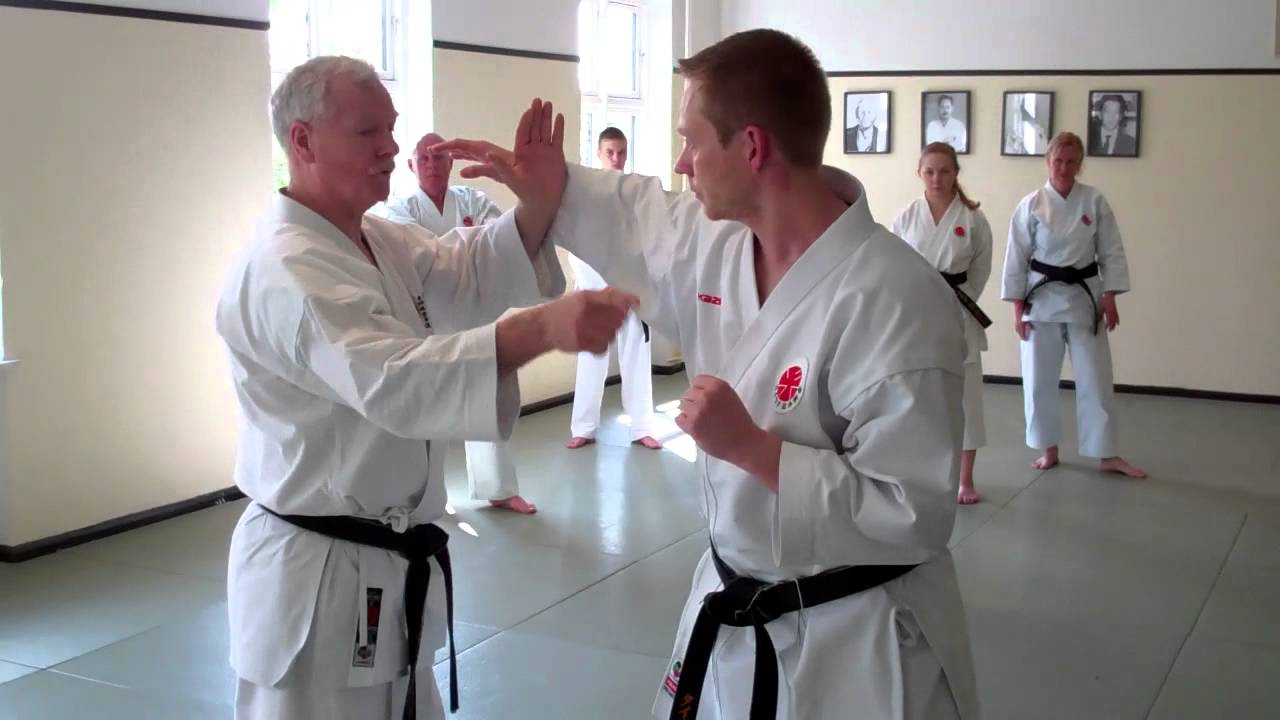 Itosu ryu seminar Denmark 2012 day 1 (2).mp4