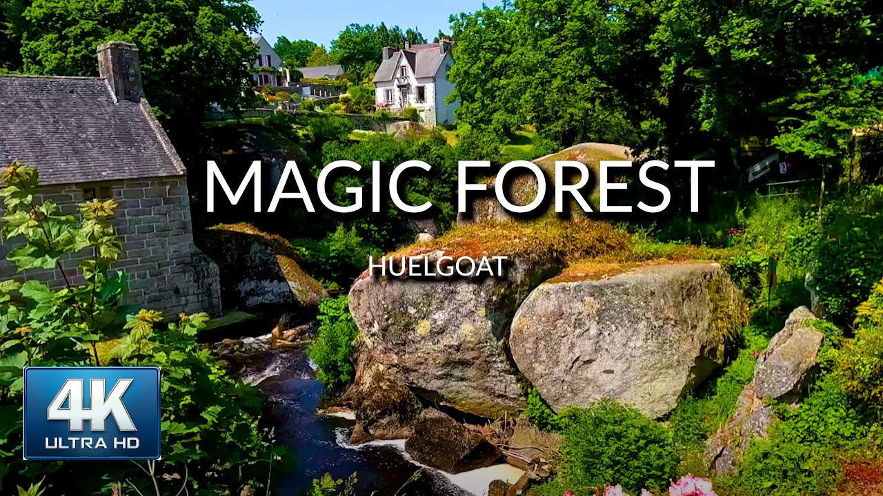 [4K]🌟Magic Celtic Forest  Walking tour 2023 | HDR 60fps
