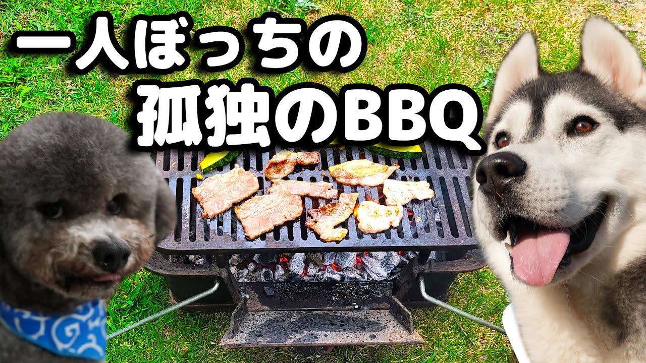 【孤独のバーベキュウ】ひとり寂しくアウトドアをしてみたが【ハスキー犬と保護犬トイプードル】