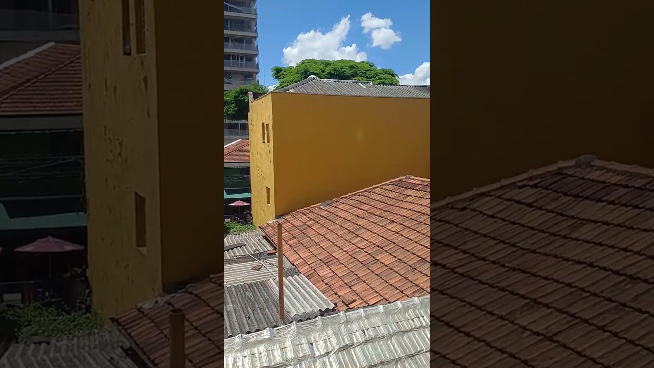 Ap Cônego 
