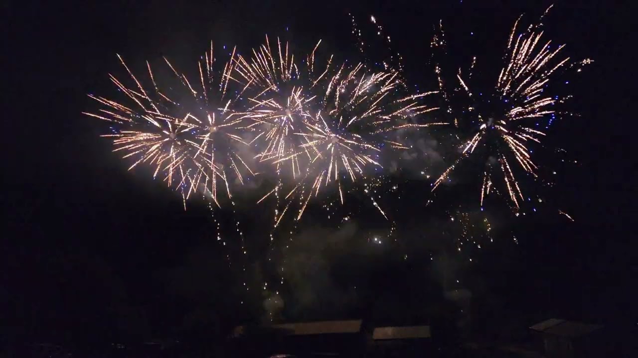 Best Backyard Firework Show Yet! 2024 Show