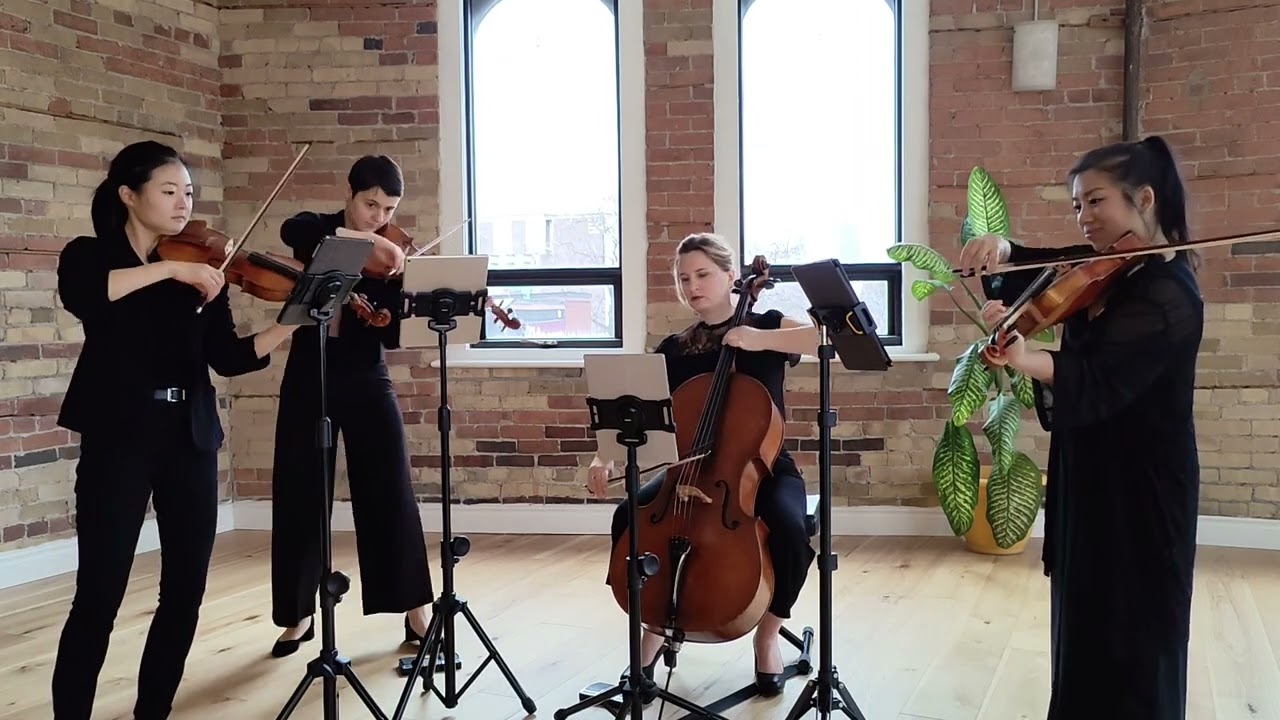 Je te laisserai des mots | Patrick Watson string quartet cover by Le Collectif de la Cité
