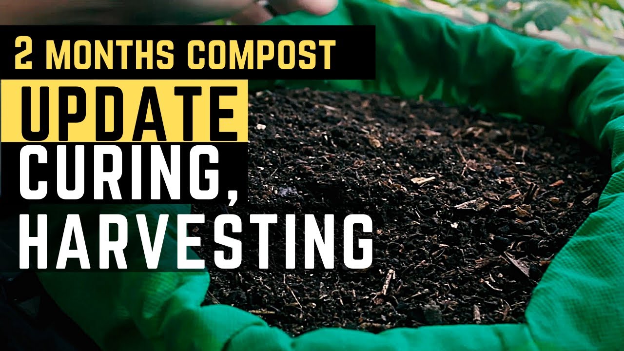 Compost Update: 2 months fully Decomposed, Curing, Harvesting | PH