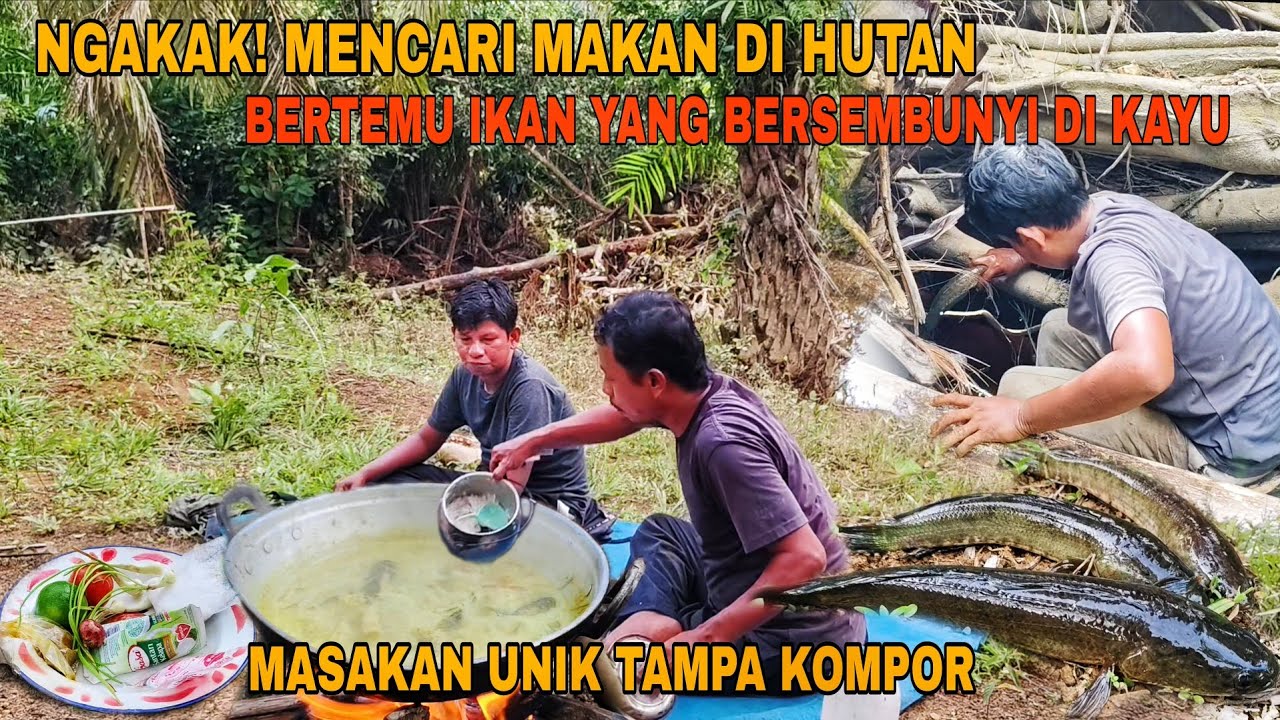 NGAKAK !! KETEMU IKAN SEMBUNYI DI BAWAH KAYU , MASAK UNIK TANPA KOMPOR