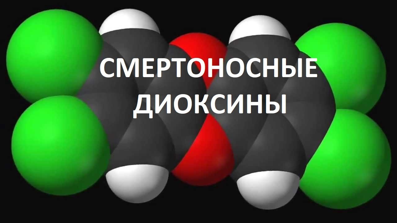 СМЕРТОНОСНЫЕ ДИОКСИНЫ