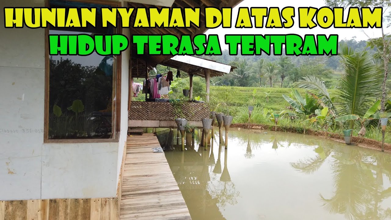 Rumah Idaman Masa Tua..Kolam Ikan Dan Pemandangan Sawah..Hidup Terasa Nyaman Dan Tentram