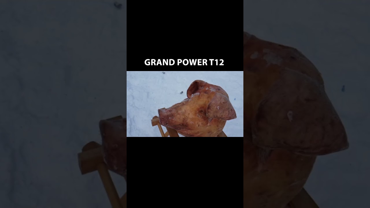 Grand Power T12 #травмат #самооборона #shorts