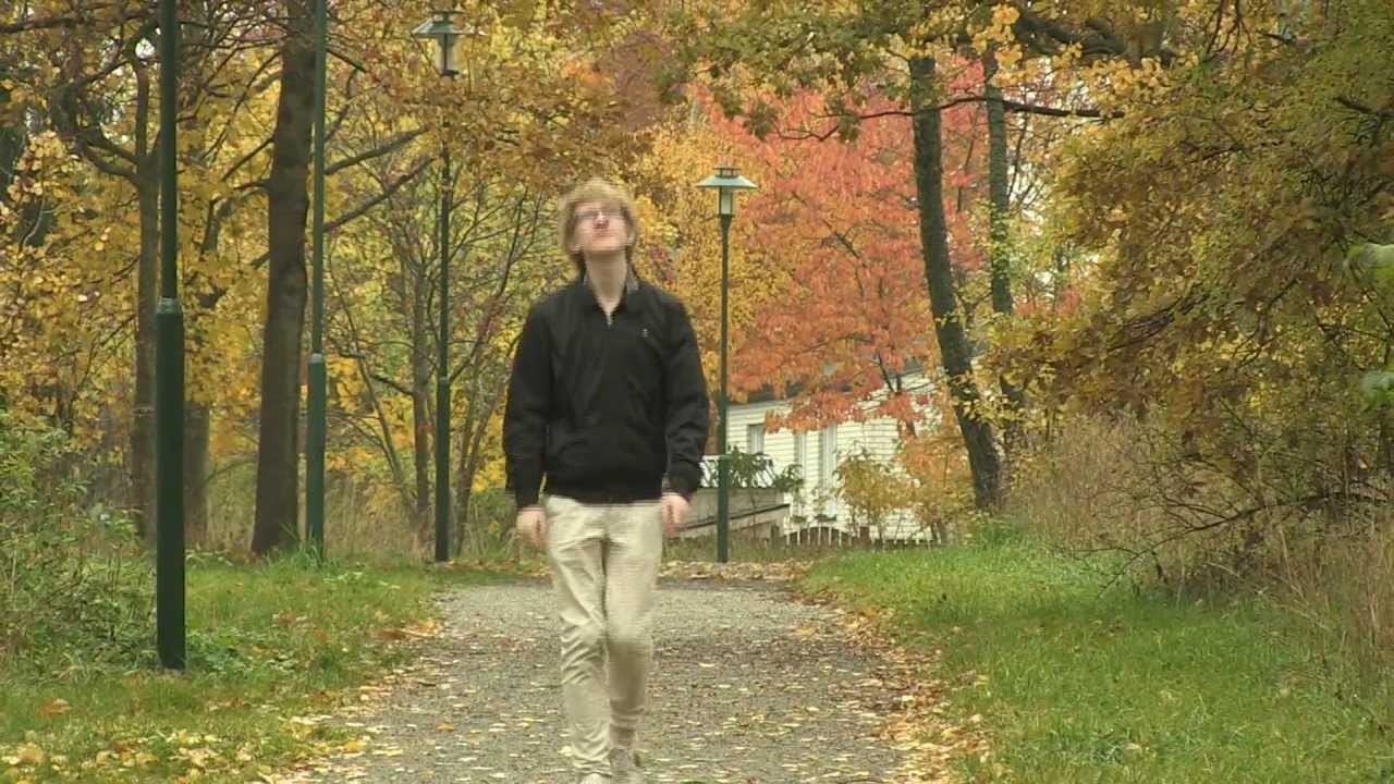 Reklamfilm - If försäkring