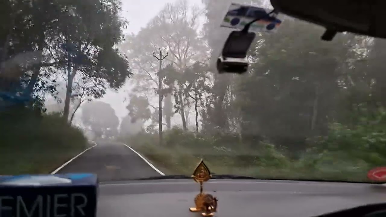 Bannari forest morning 7 am