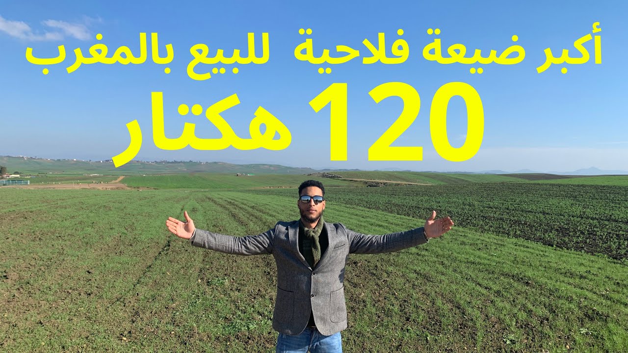 أكبر ضيعة فلاحية بالمغرب للبيع 🔥🔥 120 هكتار