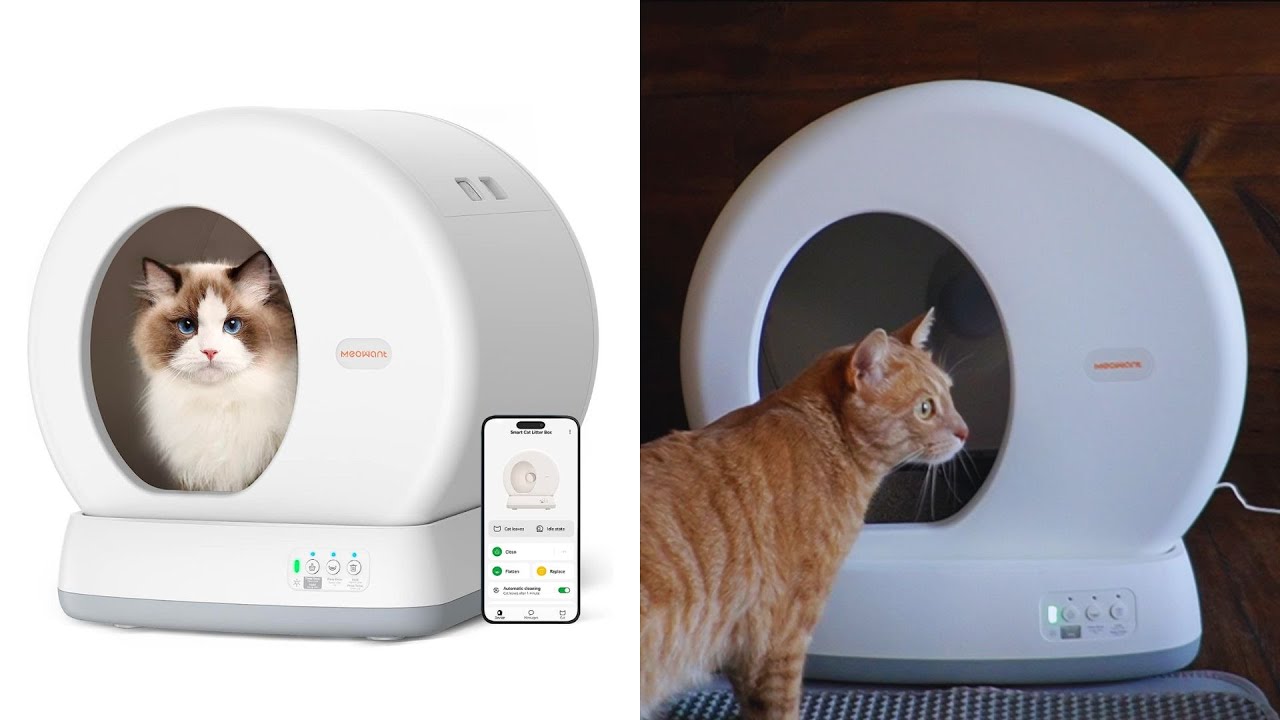 MeoWant Self-Cleaning Cat Litter Box Review