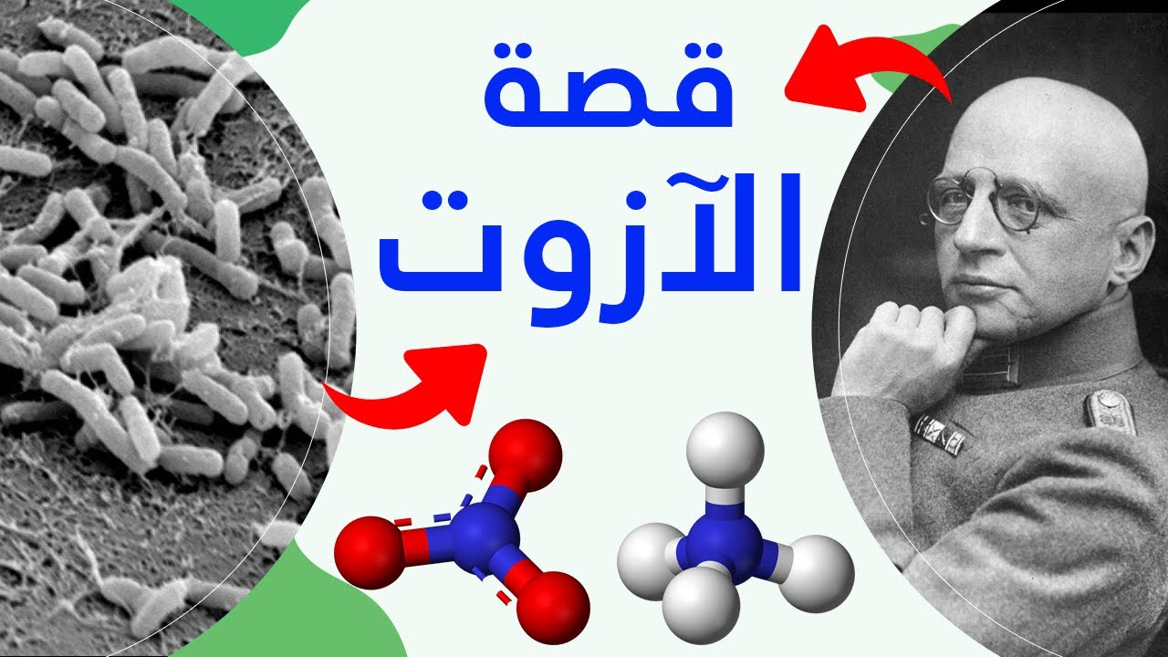 18 - الفلاحة الايكولوجية بالدارجة : دورة الأزوت (النيتروجين)