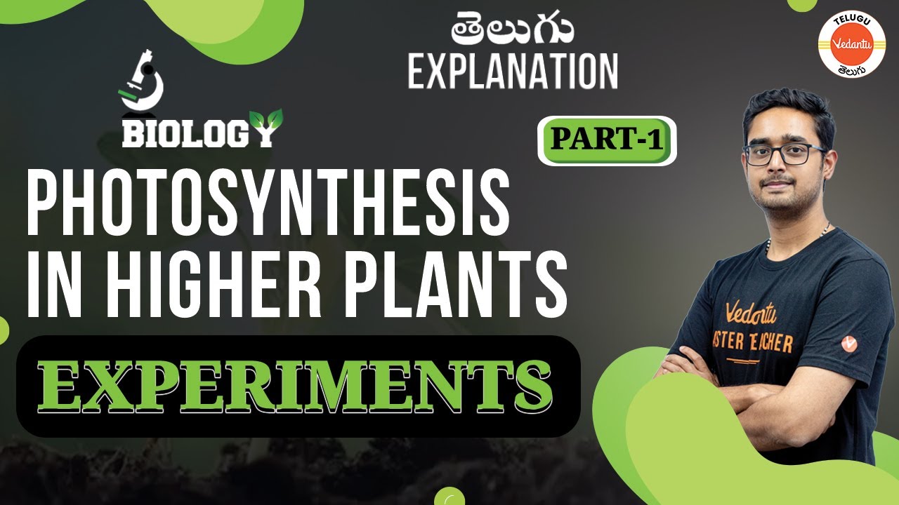 Photosynthesis in Higher Plants Class 11 Biology|Experiments| Chap 13 | NEET Telugu | Ajay Sir