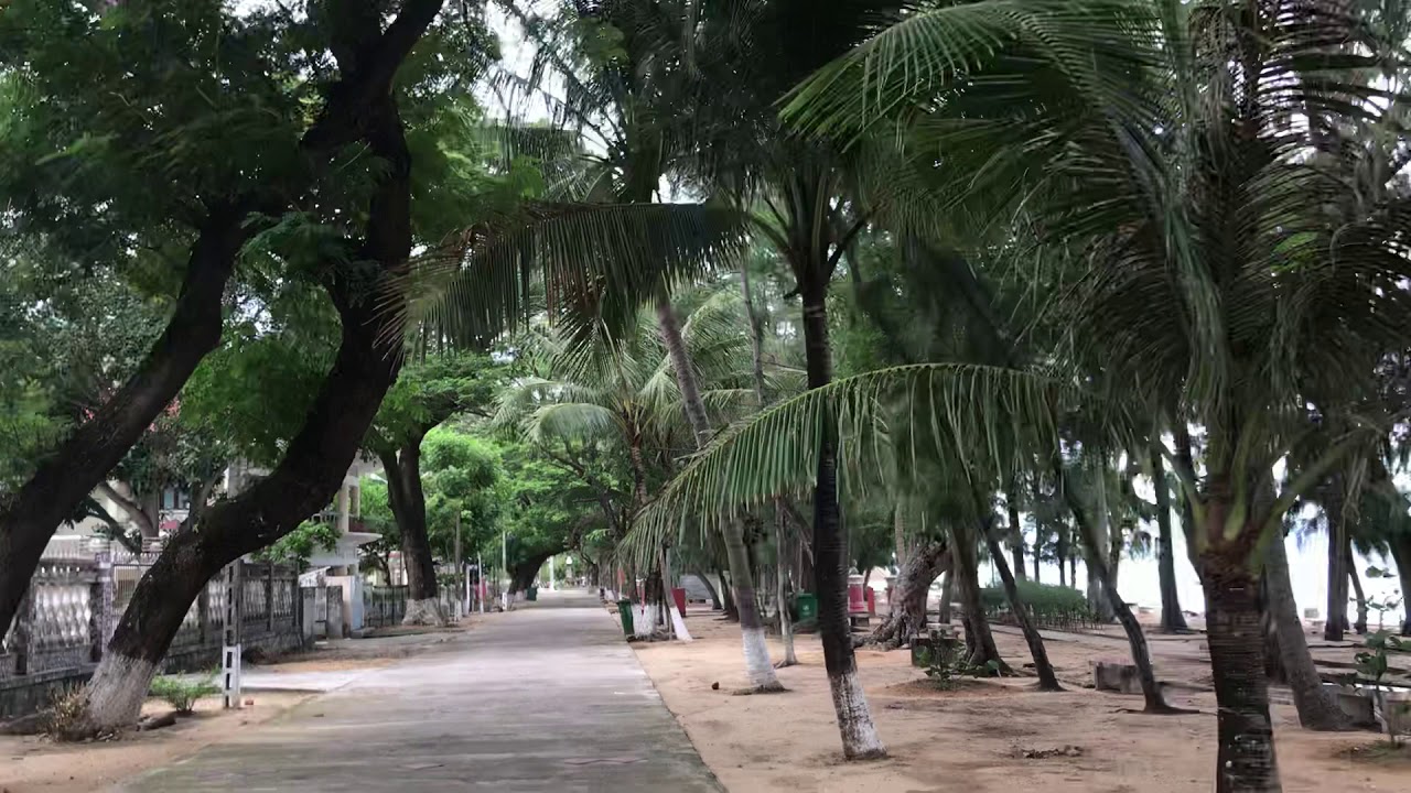 BỆNH VIỆN DA LIỄU QUY HOÀ (trại phong Quy Hoà) - MỘ HÀN MẠC TỬ