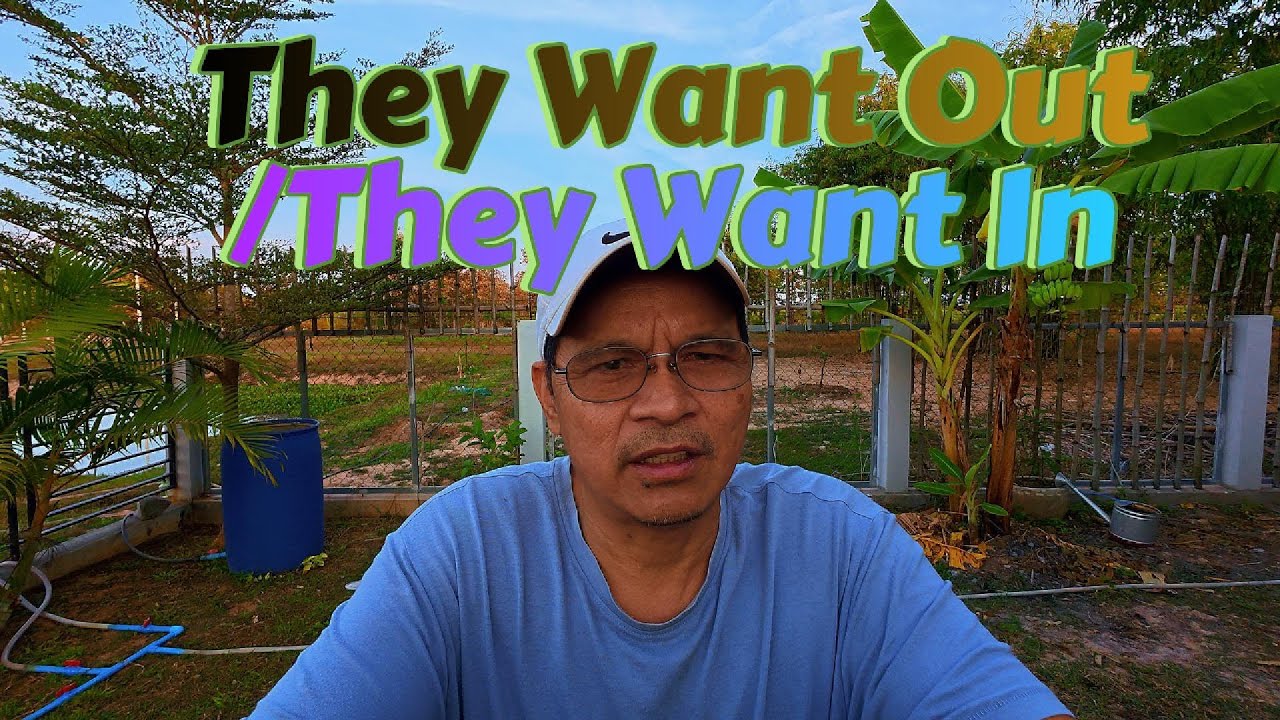 Почему камбоджийцы хотят Америку, а американцы выбирают Камбоджу?