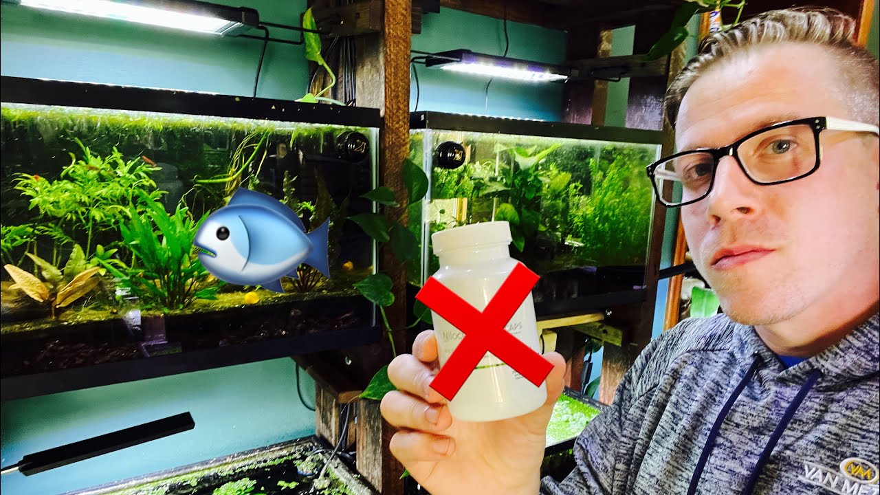 Cycle a Fish Aquarium with Fish