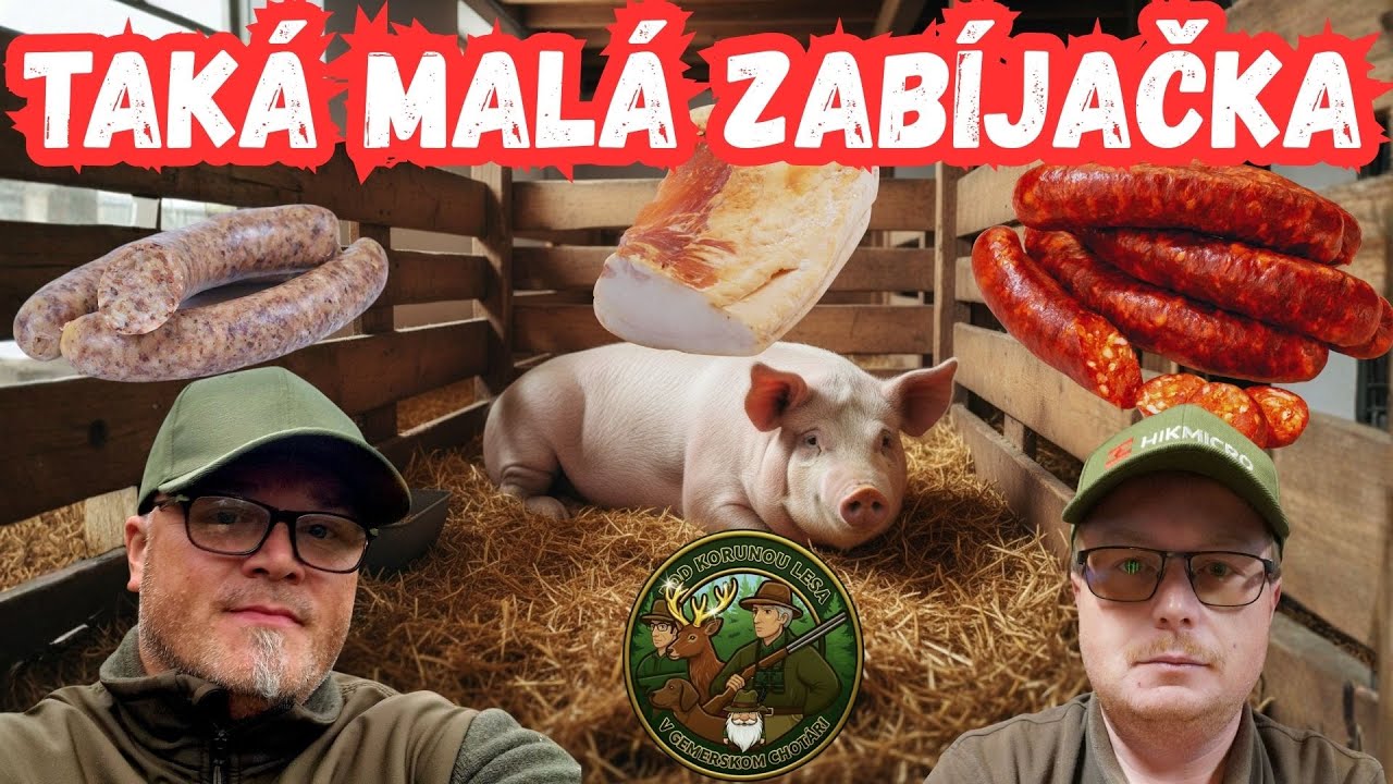 TAKÁ MALÁ ZABÍJAČKA 208kg OŠÍPANEJ