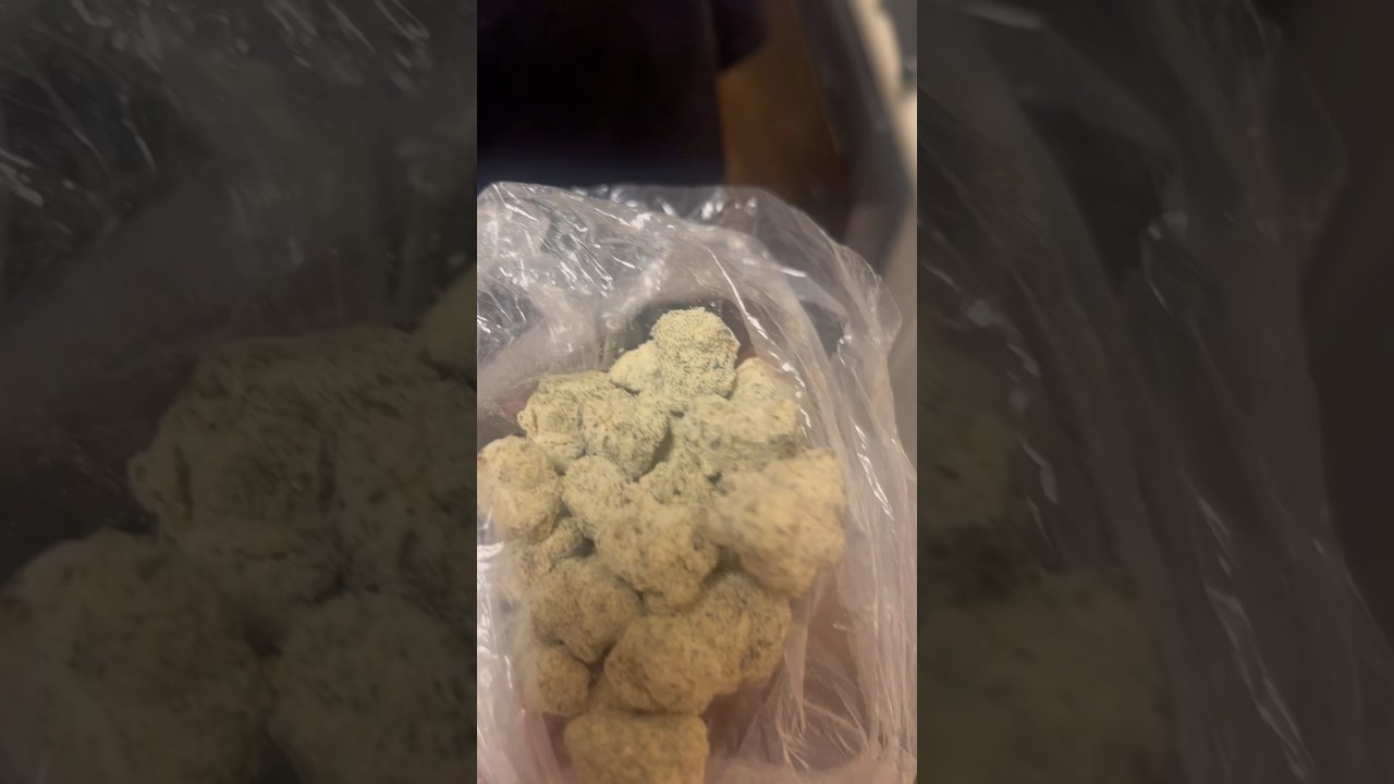 New strain Snowball ⛽️