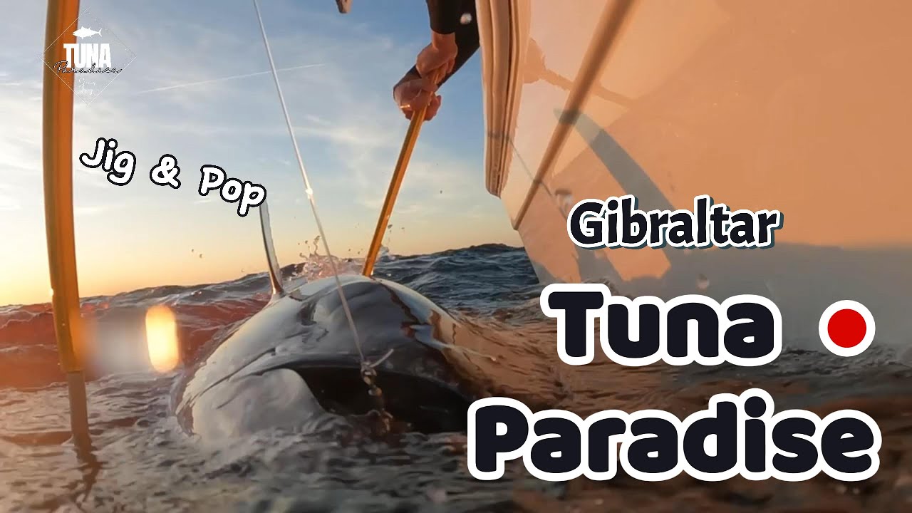 Jigging & Popping in Tuna Paradise - Gibraltar.