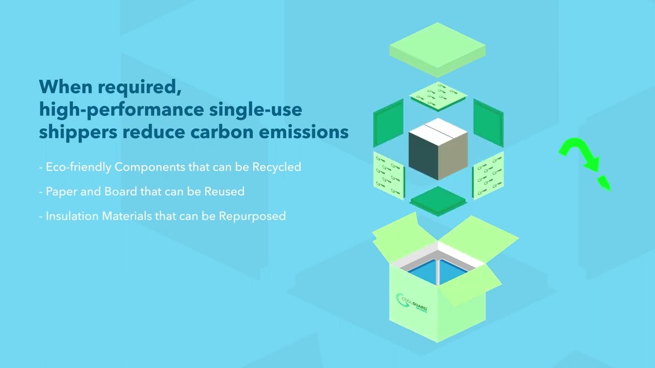 Sustainability  - Protecting our Future