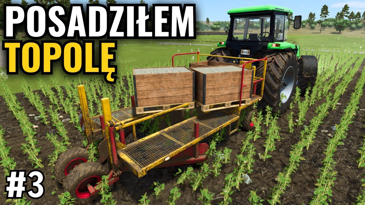 MUSIAŁEM POSADZIĆ TOPOLĘ, BO TAK CHCIELI WIDZOWIE 🔥 #amir w tartaku #3
