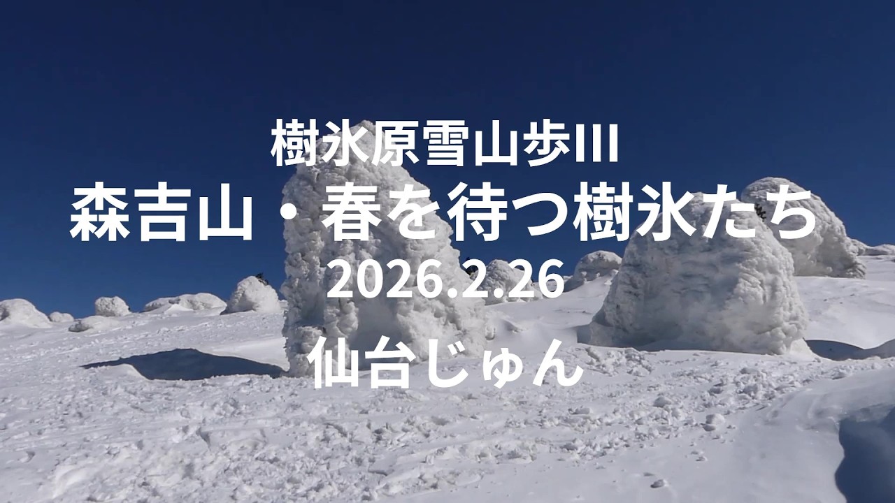 樹氷原雪山歩Ⅲ 森吉山春を待つ樹氷たち 20260226